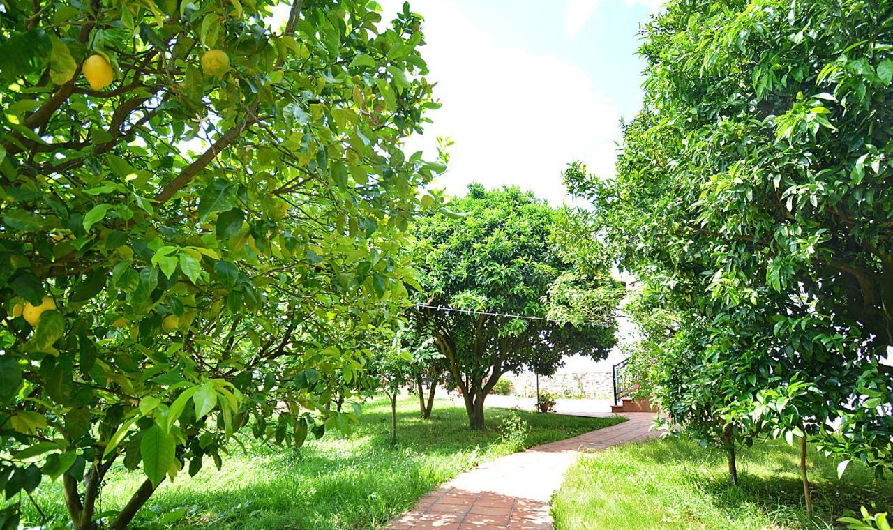 Galihost - Villa Garcia Valga Exteriér fotografie